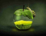 真相浮现：91网大事件总结，官方暂无回应